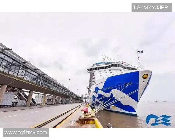 姚明豪华游轮之旅探秘：畅游海洋的奢华体验与精彩瞬间